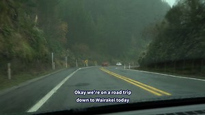 3.8K views · 74 reactions | Kiwis for kiwi are a non-profit...