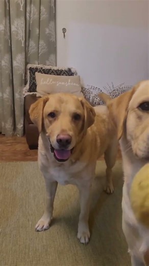 Bad sound effects from mum and a tennis ball