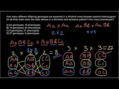 How to solve combinatorics problems under 10 seconds