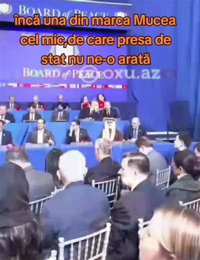 Mucea cel mic și secretele sale