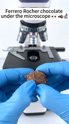 46K views · 647 reactions | It's really cool to see a Ferrero Rocher chocolate magnified 400 times under a microscope!#microscope | Home Making II | Facebook