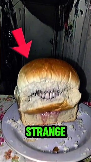 BREAD 🍞 Under the Microscope 😱🔬#BreadUnderMicroscope #FoodDiscoveryShorts #scienceshorts