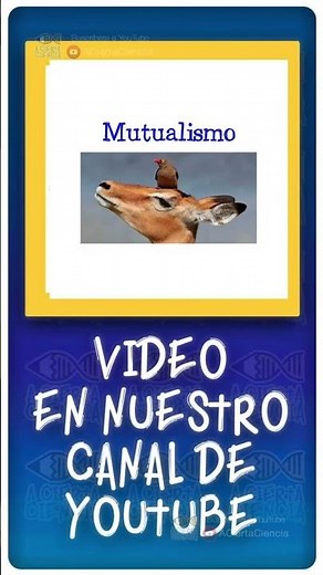 Qué es el #mutualismo? 🐠 #shorts #short #Ciencia #Bio #biología #animales #plantas #fyp #simbiosis