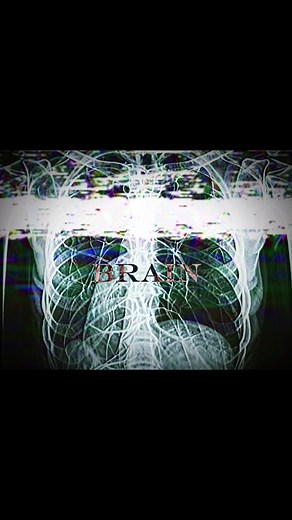 The brain can literally turn off morality. When the orbitofrontal cortex is damaged, a person still knows what’s right or wrong — but they just stop feeling it. No guilt. No empathy. No remorse. #brainfacts #psychology #neuroscience #mindblowing #humanbrain