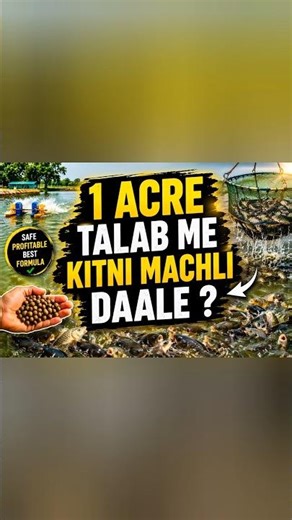1 Acre Talab Me Kitni Machli Dale ? 😱 | Fish Farming Secret