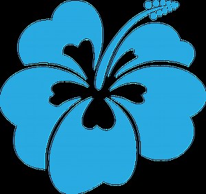 About | Aloha Pool And Spa | Monterey