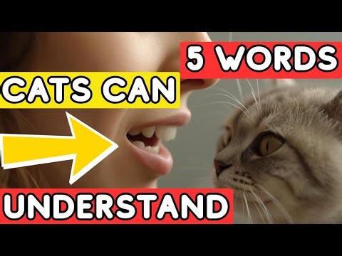 5 Human WORDs Your CAT Truly UNDERSTAND😺 – Backed by SCIENCE!