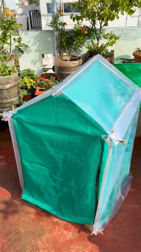 Garden Bro on Instagram: "DIY ಮಿನಿ Greenhouse 🪴 Hey folks! ಇವತ್ತಿನ ವಿಡಿಯೋದಲ್ಲಿ, let’s vibe with a super simple mini greenhouse using just bamboo, shade net, ಮತ್ತು plastic cover. Basically, it’s a low-key project that’ll have your plants vibing under a cool mini shelter. So, if you’re that plant parent who wants to keep it thrifty and fun, ಈ DIY greenhouse try ಮಾಡಿ! #terracegarden #greenhouse #dıy #terracegarden #organiclifestyle plantlove garden love"