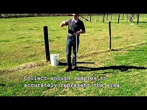 How to Take a Soil Test.mp4