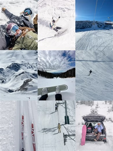 Turtle Fur on Reels | Facebook