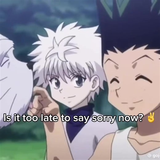 ׂ 𓈒 #GONKILLU . 🌙 I’m sorry! also no hate to retz I luv her . #hunterxhunter #viral #satire #killugon ྀ ͚