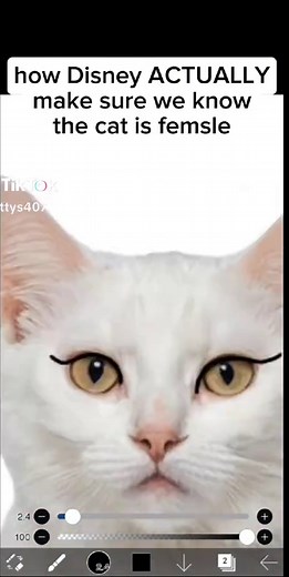 kattys on TikTok