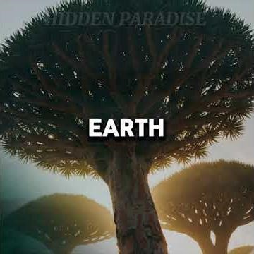 The Alien Island You Must See — Socotra’s Hidden Paradise 🇾🇪🌵”