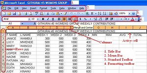 Performing Calculations in Microsoft Office Excel 2003
