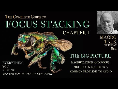 Focus Stacking I - Macro Talk #167 - AWPhotography 11/11/25