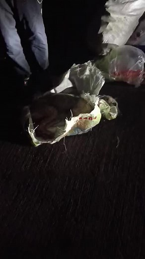 Kuya Rider Tumulong sa Aso na Tinapon