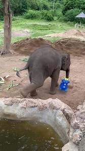 72K views · 1.7K reactions | And Luna's new toy is….” the Blue...