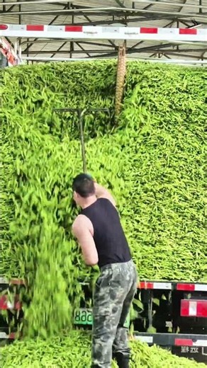 Watch the Green Tide! Instant Unloading