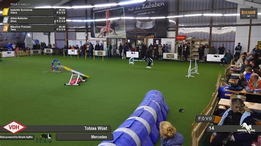 Deutsche Meisterschaft ist bereits vorbei – aber wir teilen weiterhin spannende Highlights mit euch! 🎥 Das ist Tobias Wüst und Mercedes – viel Spaß beim Anschauen! Mit vollem Zugang erhaltet ihr: 🎤 Exklusive Interviews 📊 Detaillierte Parcoursanalysen 🏟 Actionreiche Arena-Aufnahmen 🐕‍🦺 Und natürlich alle Läufe! 📺 Jetzt anschauen mit deiner working-dog Premium-Mitgliedschaft: https://www.working-dog.com/results-category/100011/VDH-DMDJM-Agility- | Working-dog Agility