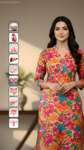 Sa Study Point on Instagram: "Important Human Body Organs in English 🧠💓 | Learn Anatomy Vocabulary Easily 🩺 #LearnEnglish #BodyParts #HumanOrgans #EnglishVocabulary #DailyUseEnglish #SpokenEnglish #SmartLearning #EnglishLearning #SAStudyPoint #Education"