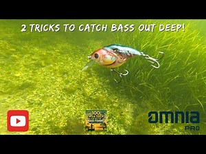 Deep Structure Bass Fishing Made Simple – 2 Must-Know Tricks (Day 15)