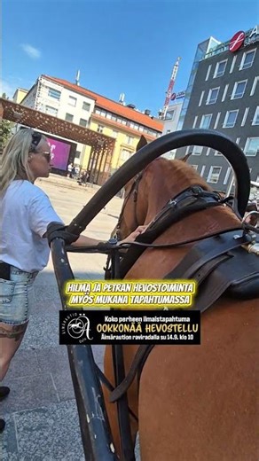 Ookkonää hevostellu Oulun raviradalla 14.9.2025 #hevonen #hevoset #horse