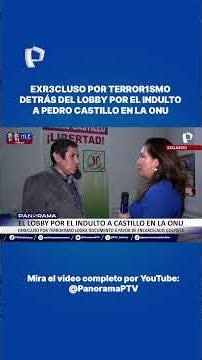 FORMER TERRORISM INMATE BEHIND THE LOBBY FOR PEDRO CASTILLO'S PARDON AT THE UN