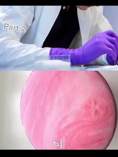 Creative Slime Manipulation Techniques and Settings