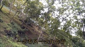 我在荆州等你 山城秀雅欢迎你的光临