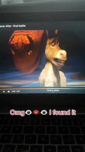 Shrek and Donkey Staring: A Funny Moment