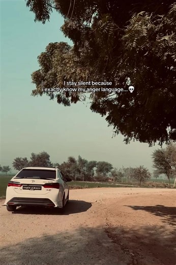 Understanding Anger Language: A Personal Insight