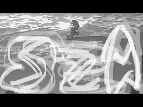 SOS tour - SZA (floor seats)