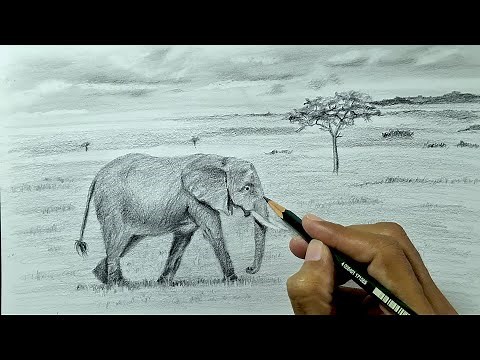 How to Draw an Elephant in Pencil Step by Step | African Savanna Landscape Drawing Pencil