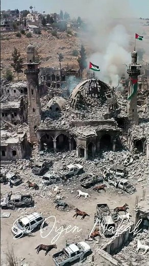 Si Oyen Bersama Anak2 Palestine 🥹 Don't Cry Palestine #viral #viralvideo #kucinglucu #kucingimut