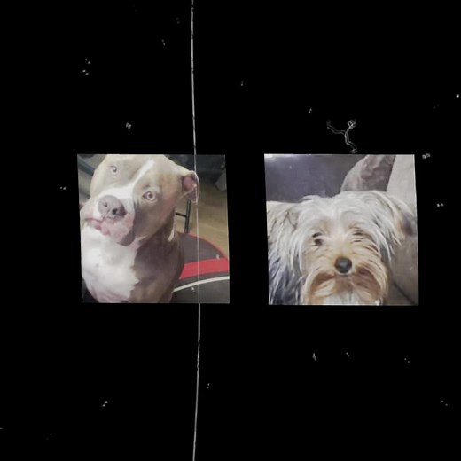 wigger (@wigger_jr155)’s videos with original sound - wigger