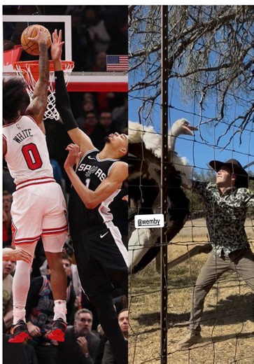 Dangerous game going in the pen during breeding season... but gotta get the emu eggs before the foxes and raccoons get to them! This is the proper way to subdue an ostrich when he's fixin to attack you. - Just in case you ever come across this situation... they kick forward, so pulling the neck downward disables them from being able to kick you. And control over their head so they can’t bite you. Then run like hell after you let go. You get stomped once, you don’t get stomped again. This is my o