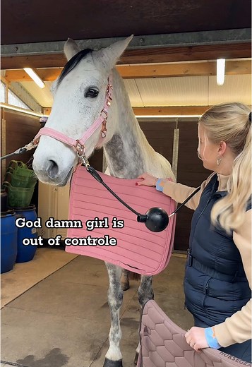 Mijn merries gedachtes 🤯 #epplejeck #EJ #paard #paarden #funny #fy