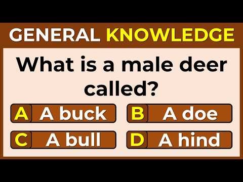 How Smart Are You? | Take This 40-Question Quiz To Find Out | GK #20