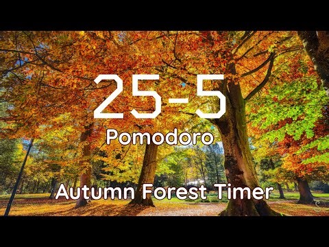 25–5 Pomodoro Fall Forest Timer 🍁 | 25 Min Focus + 5 Min Break | Nature Sounds & Acoustic Music