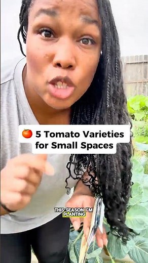 These 5 Tomatoes Varieties are Perfect for Containers #containergardening #smallspacegardening