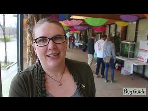 Meet the BugGuide Community