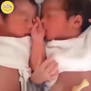 Twin newborn babies so cute ❤️🥰 Join Our Group : Baby Lovers. Thank you so much! | Explore Life