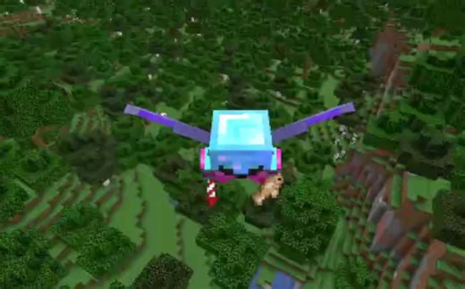 【feinberg】1.16全进度 3h08m 现世界第一