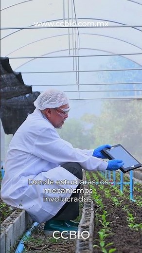 Fitorremediación: Técnicas, legislación y aplicaciones