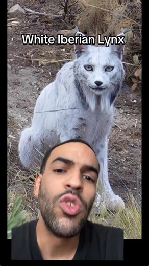 40K views · 3.3K reactions | Soo this a good sign or bad sign ? 藍 | Lawrence Johnson | Facebook