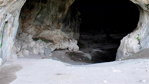 Mikufan tiktok on TikTok