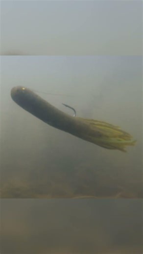 Classic Tube Jig Underwater | Bass POV