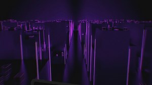 Feeding Your Pet Beetle: A Quick Guide