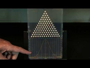 Galton Board - Normal Distribution