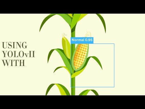 Detection and Diagnosis of Corn Diseases using YOLOv11 with DeepSeek-R1 Integration